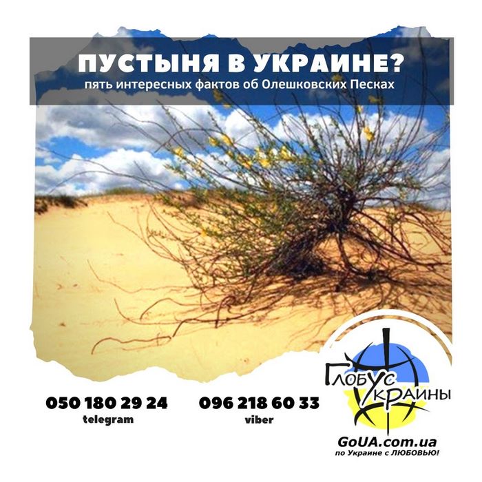 олешки алешки пустыня украина херсон экскурсия глобус украины туры выходного дня